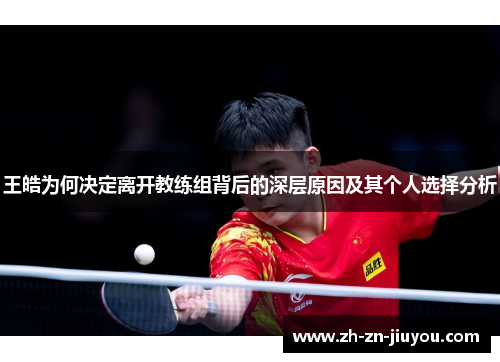 王皓为何决定离开教练组背后的深层原因及其个人选择分析