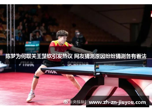 陈梦为何取关王楚钦引发热议 网友猜测原因纷纷猜测各有看法